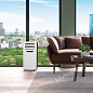 Мобильный кондиционер Electrolux Manhattan EACM-09 FM/N3