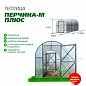 Теплица Перчина-М плюс