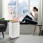 Мобильный кондиционер Ballu Platinum Comfort BPHS-13H