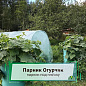 Парник Огурчик