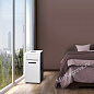 Мобильный кондиционер Electrolux Manhattan EACM-09 FM/N3