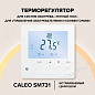 Цифровой терморегулятор CALEO SM731